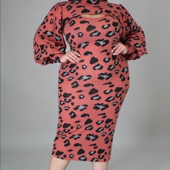 ✨♥️ 2-Piece Leopard Stretch Dress - Picture 3 of 8